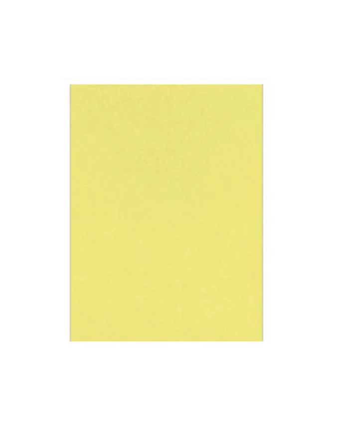 Cartón Pintado Amarillo