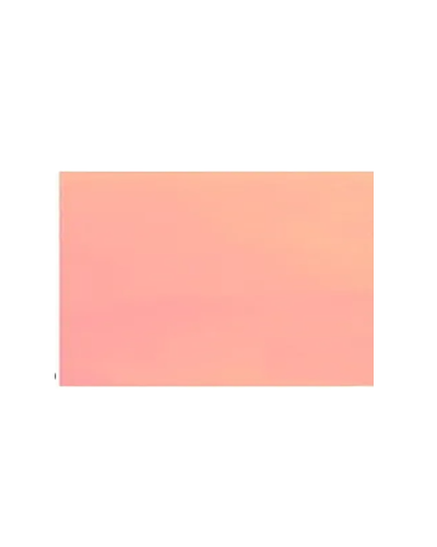 Pliego Cartulina 55x77 Piel